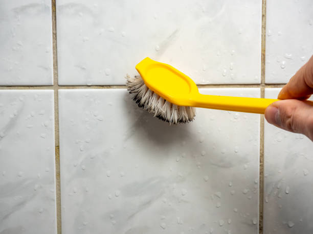 Best Home Mold Removal  in Citrus Heights, CA