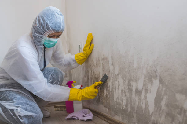 Best Crawl Space Mold Removal  in Citrus Heights, CA
