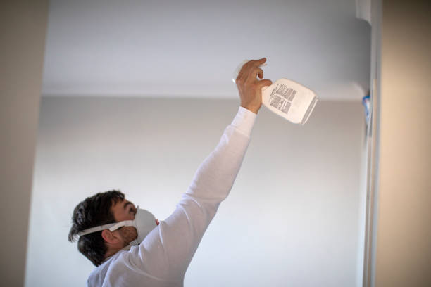 Best Mold Remediation Experts  in Citrus Heights, CA