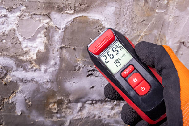 Best Black Mold Removal  in Citrus Heights, CA