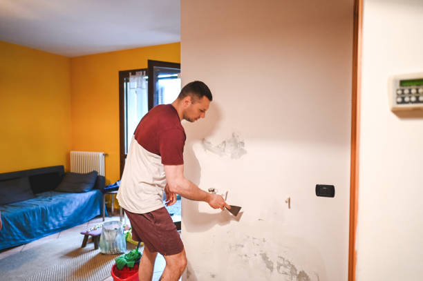 Best Mold Removal Process  in Citrus Heights, CA