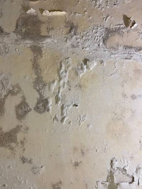Best Water Damage Restoration  in Citrus Heights, CA